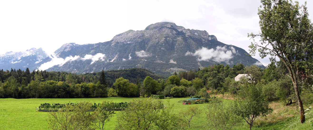 Panorama 11.JPG